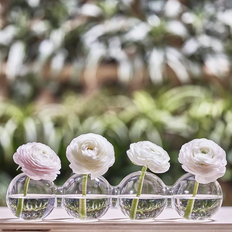 CHIVE â€˜Caterpillarâ€™ Bubble Bud Vase for Centerpieces â€” 4 Hole Multi Chamber Clear Glass Flower Vase for Short Flowers â€” Large, 13â€ Long - Image 4